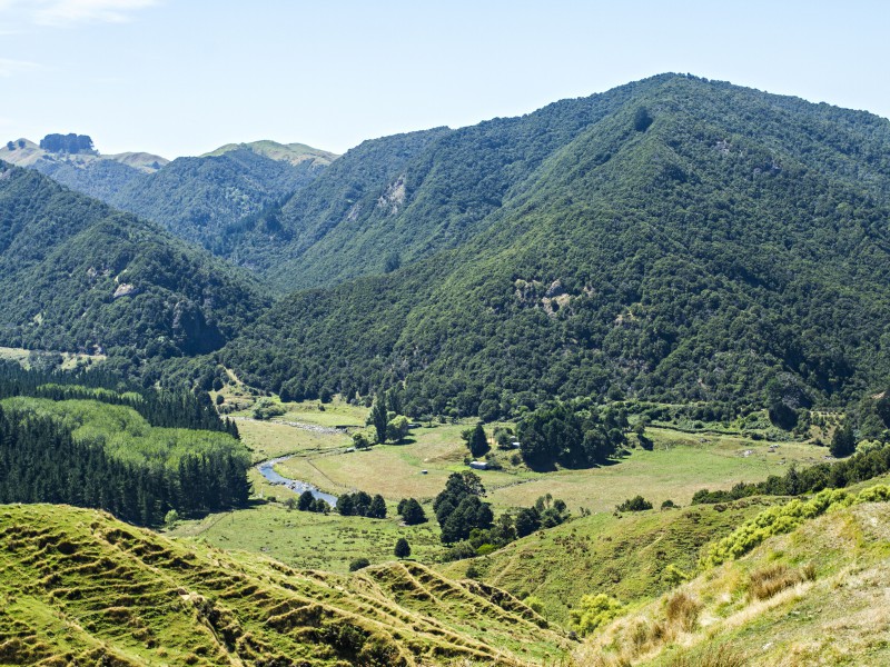 1001 Tunanui Road, Mahia, Wairoa, 0 phòng ngủ, 0 phòng tắm