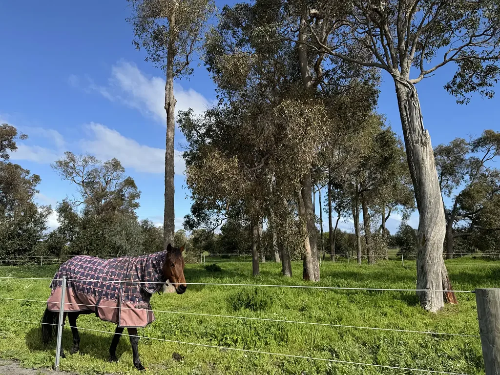 Ludlow 108-acres of exceptional versatility in Ludlow