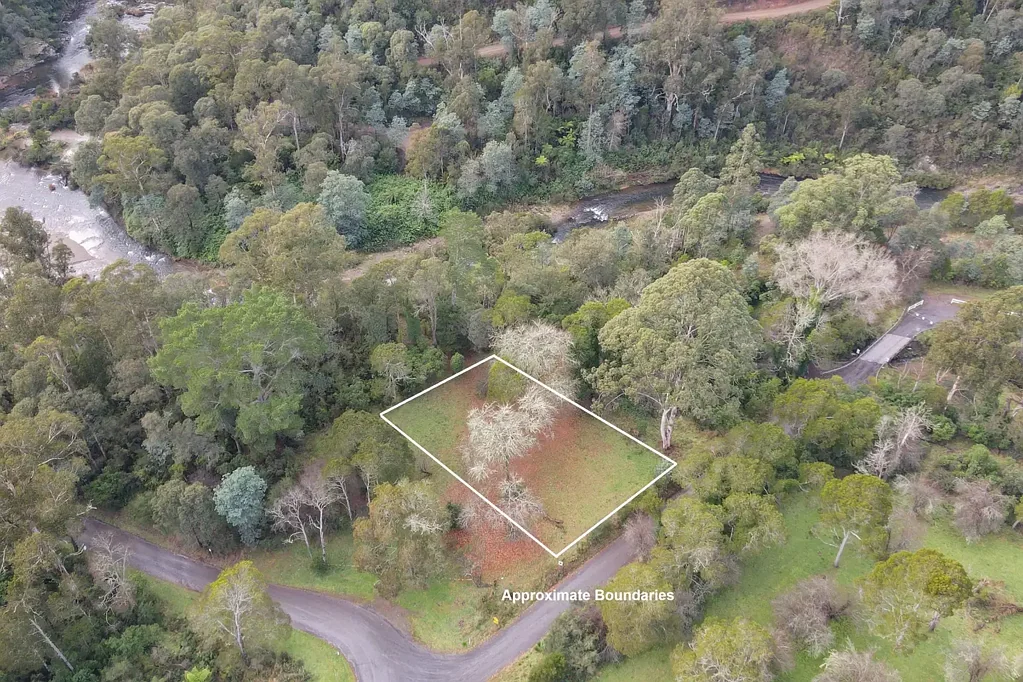 Coopers Creek Paradise on the Banks of the Thomson River