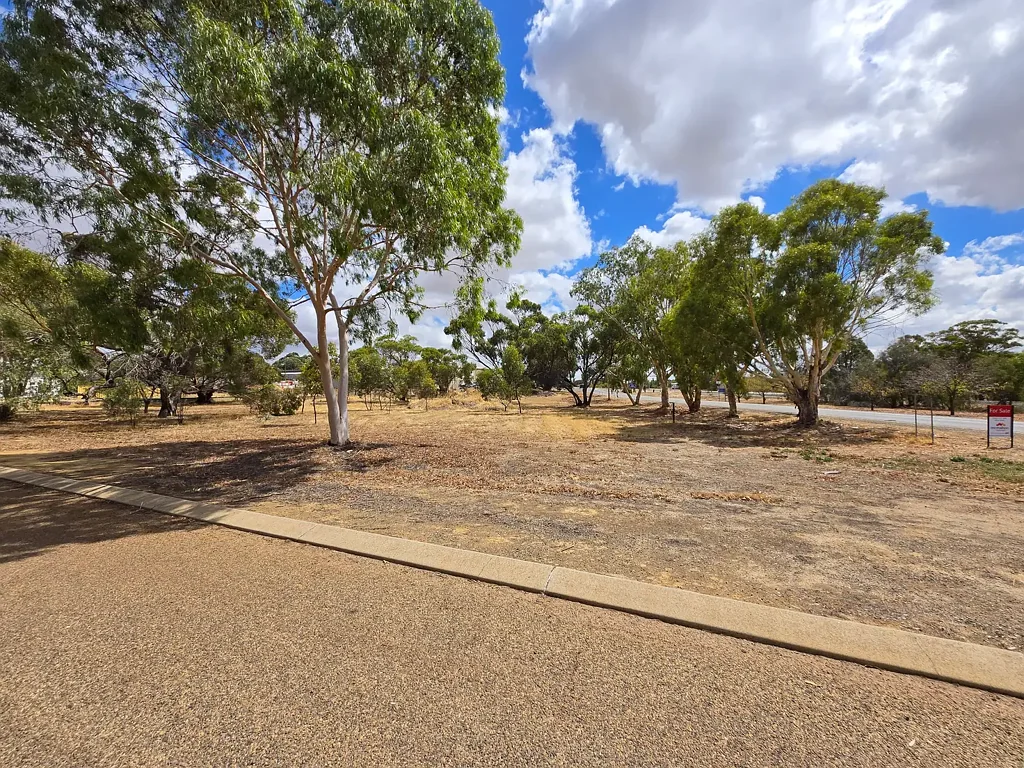 Pingelly 1166sqm Block in Pingelly! Escape to the Country !
