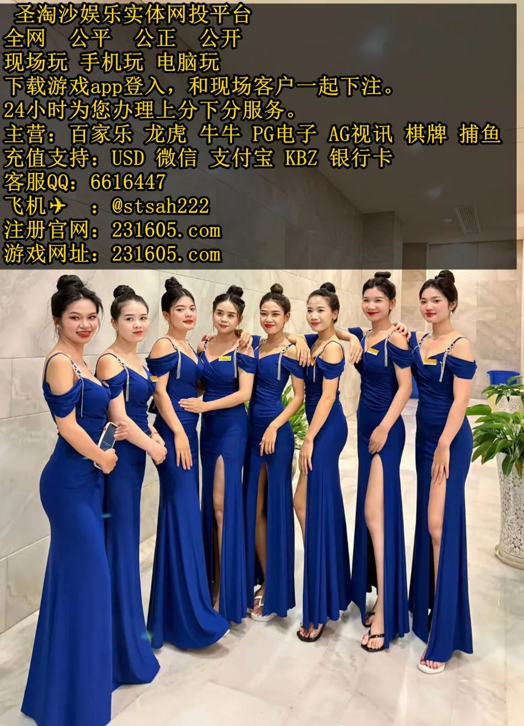 缅甸华纳娱乐线上实体网投开户客服QQ 6616447