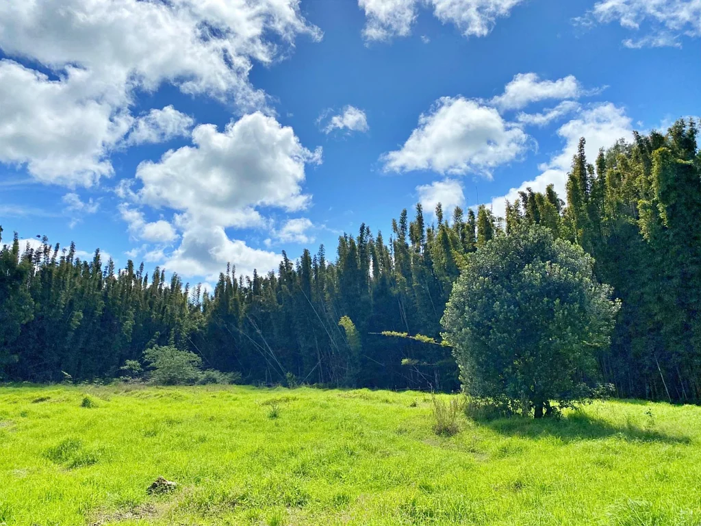 Houhora UNDER CONTRACT