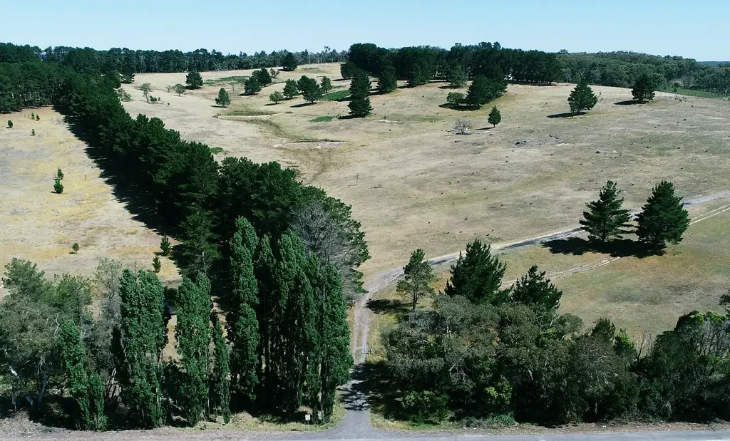 Paddys River 48 Hectares Rural Property With Two Dwellings - Paddy's River
