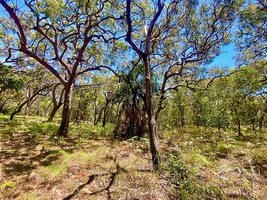 78 BLOODWOOD AV SOUTH, AGNES WATER QLD 4677, 0 rūma, 0 rūma horoi, Section