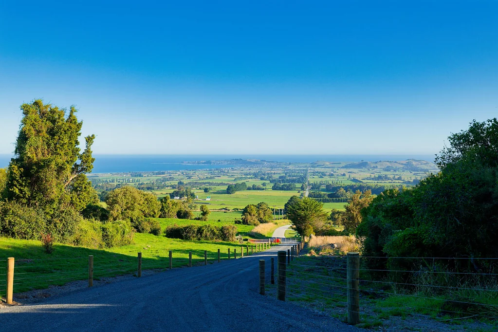 Kaikoura  Reconnect, Restore, Rewild