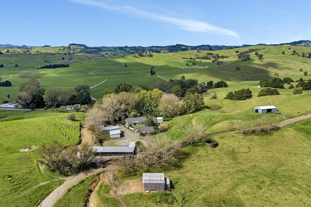 Maromaku Entry-level dairy farm - back to basics!