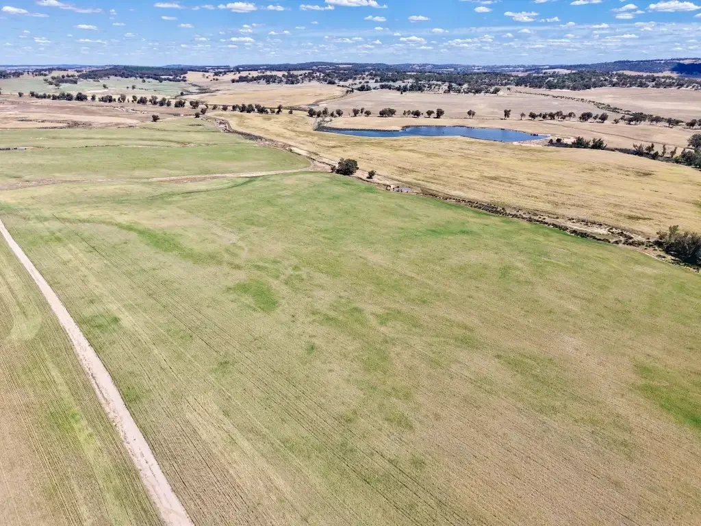 Dale  560 Acres in the Dale                                      227ha (560 acres)