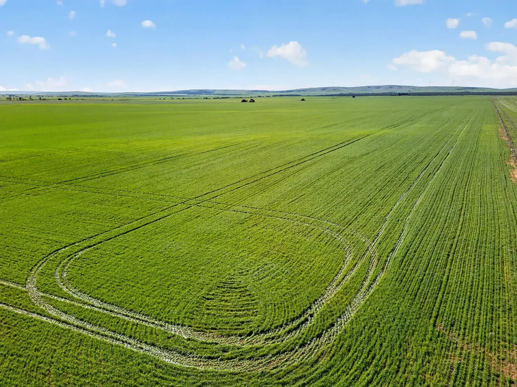 Clements Gap  Rare Large-Scale Lease & Purchase Opportunity in Tightly Held Cropping District