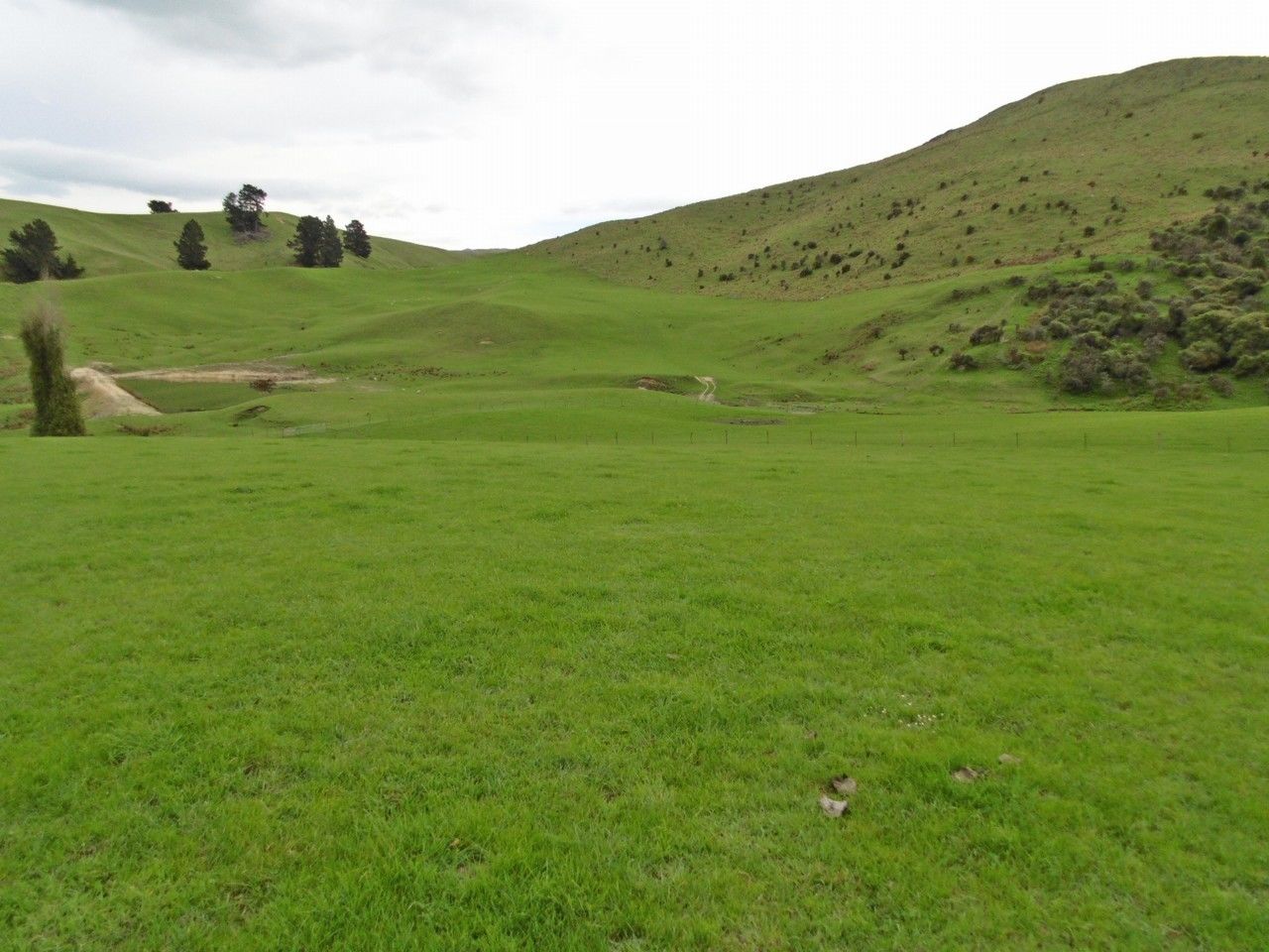 36 Chalmers Road, Palmerston, Waitaki, 0 habitaciones, 0 baños