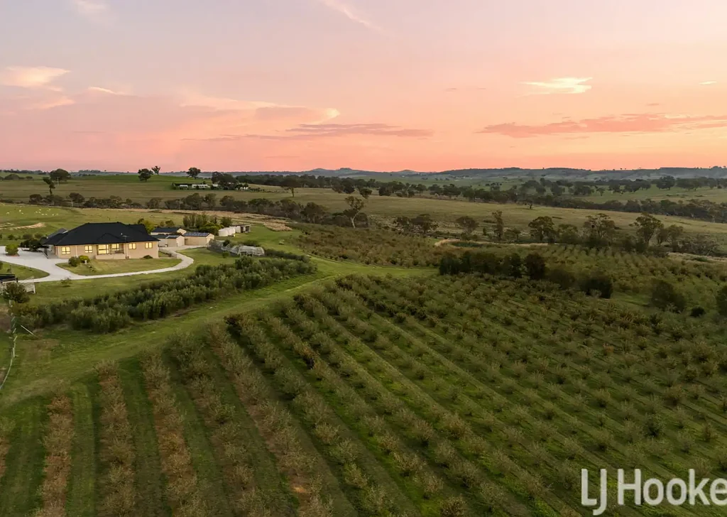 Wimbledon 5Habitaciones Escape to Nature: The Tree Change You’ve Been Searching For