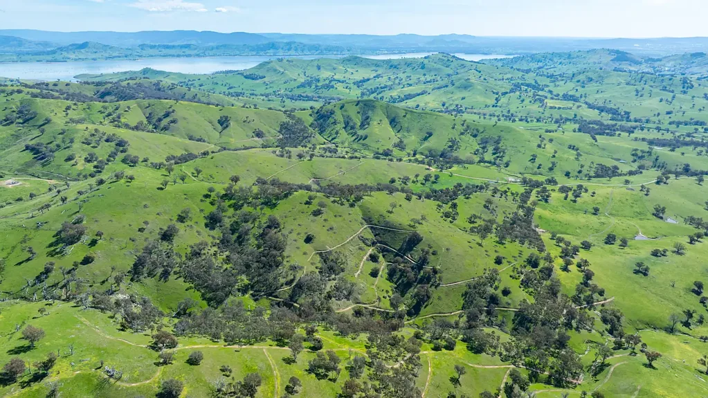 Bethanga GRAZING BLOCK CLOSE TO BETHANGA
