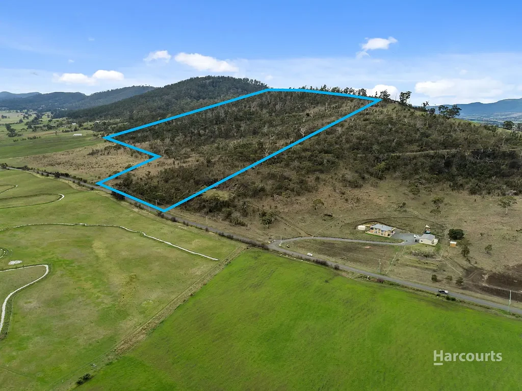 Richmond  Spectacular 20 Hectare Parcel