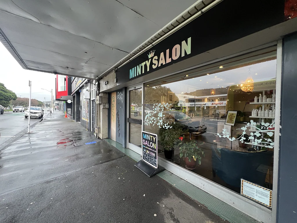 Te Aro Cambridge Terrace: Small ground floor