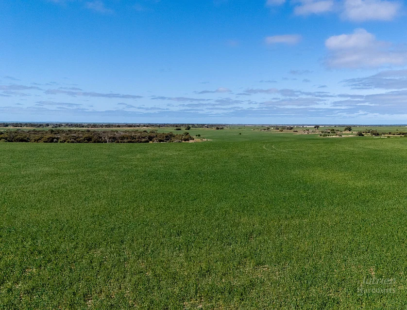 Sect. 217 Old Saltworks Road, Warooka, Barossa - Yorke - Mid North, 0 ਕਮਰੇ, 0 ਬਾਥਰੂਮ, Lifestyle Property