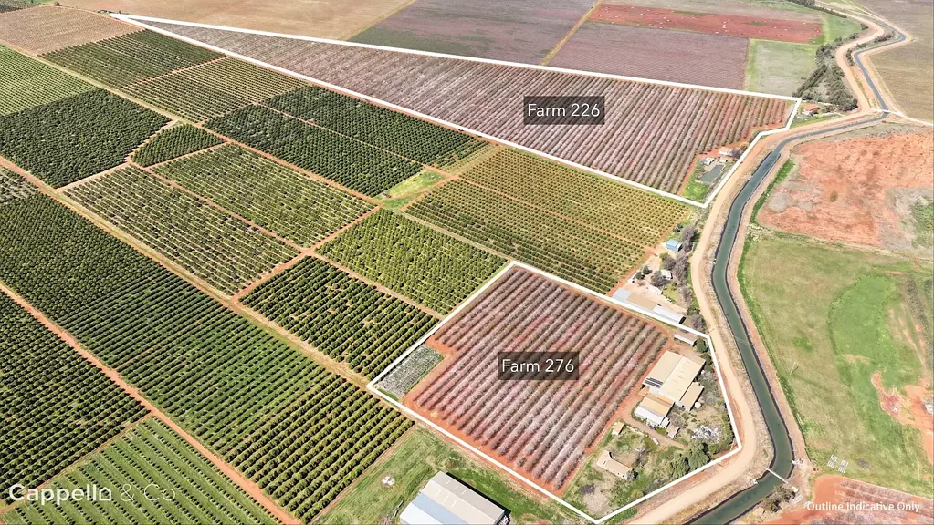 Nericon  Established Almond Farms with Industrial Shedding