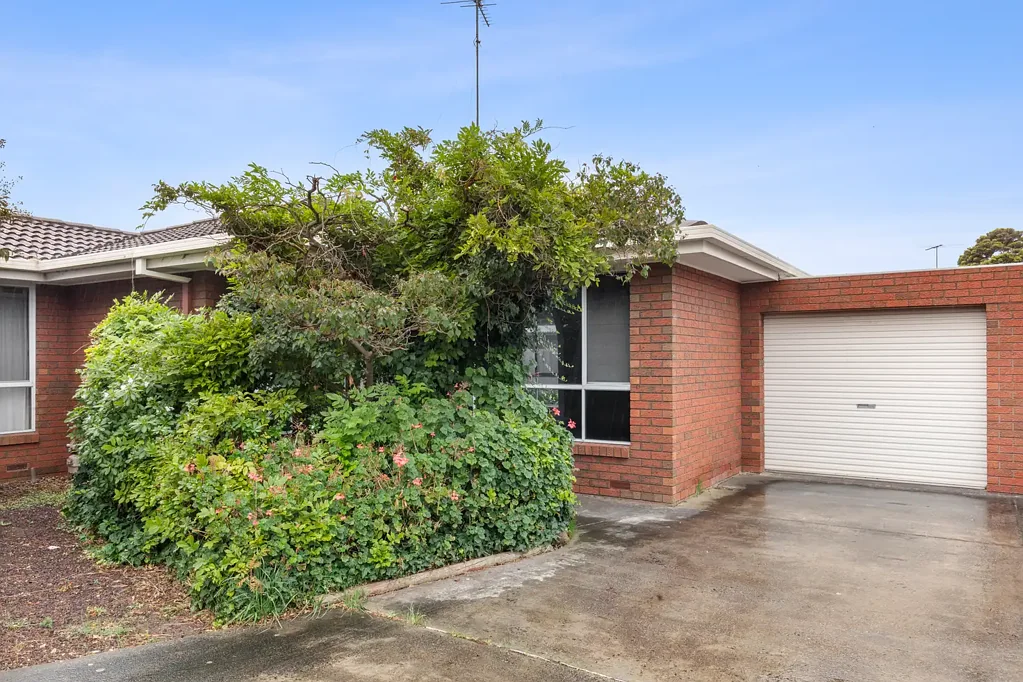 5/41 Rugby Street, Belmont, VIC 3216