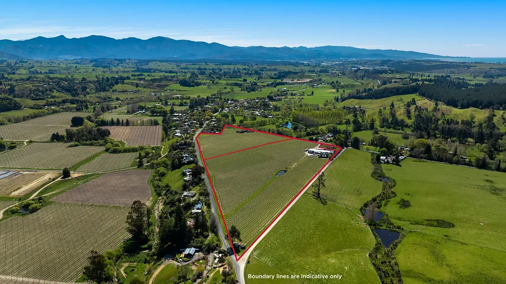 Upper Moutere Three titles, two dwellings and a winery!