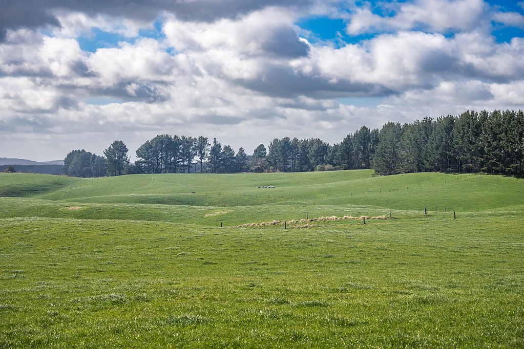 Pongakawa  Horticultural Development Opportunity