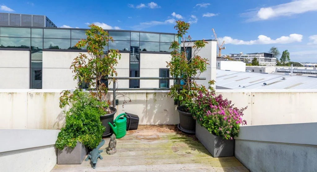 Parnell  CBRE - Boutique Brilliance