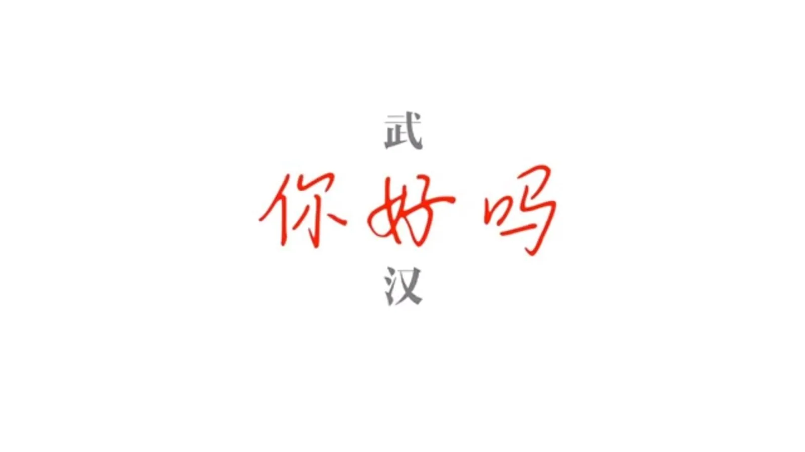 泪目！武汉灯光秀打出所有支援省区市名字