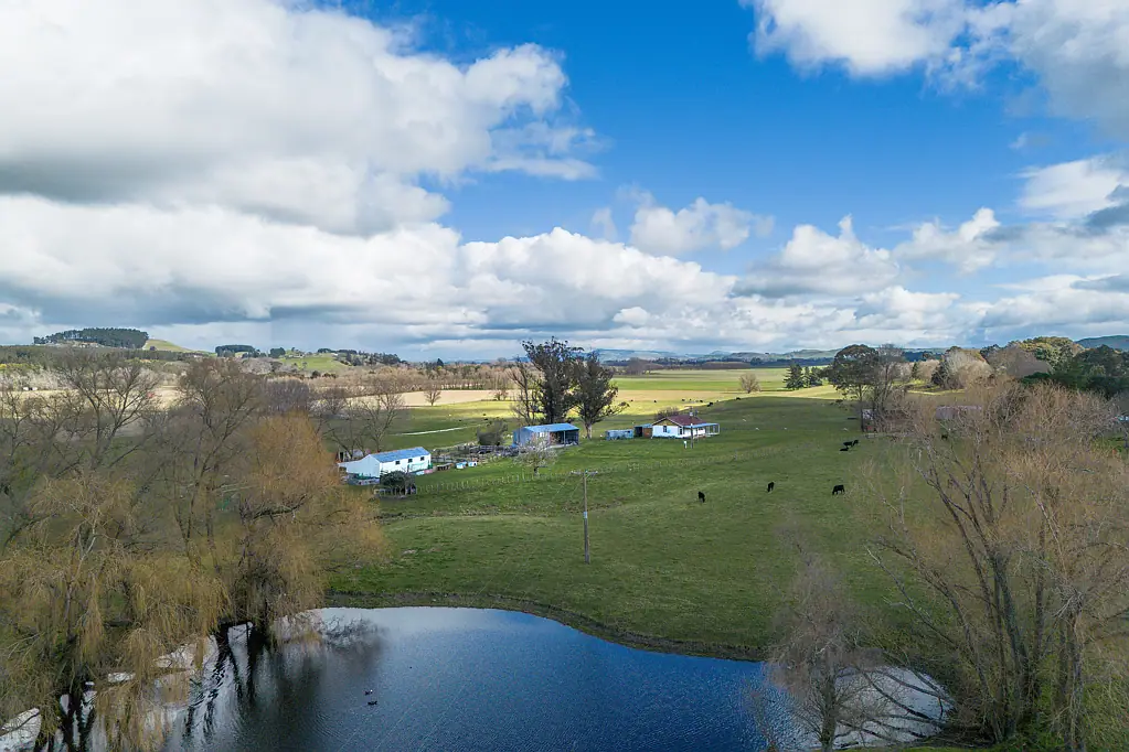 Waipawa Rural Lifestyle with Town Convenience