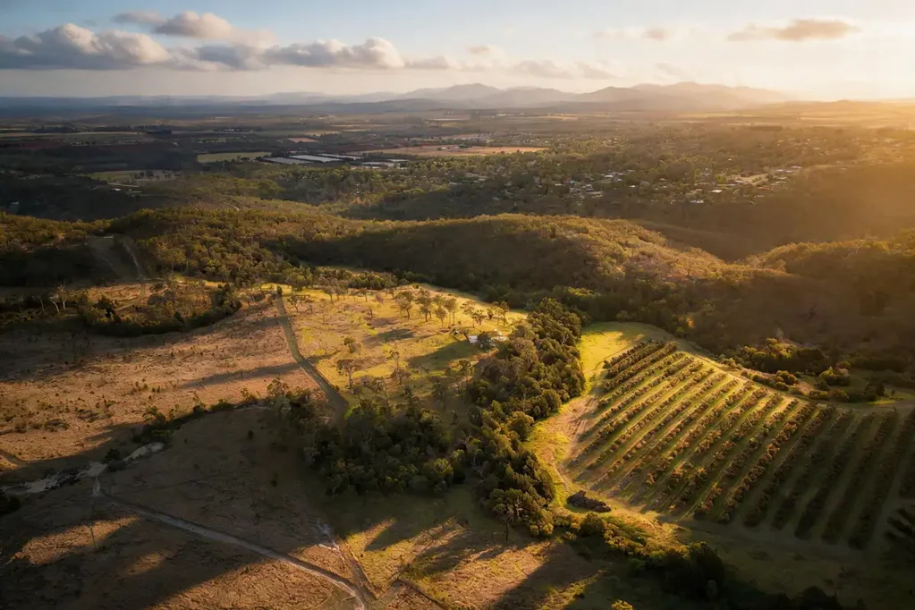 Tolga 32 Acres | Privacy & Space | Mountain Views