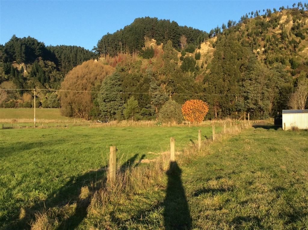 436 Rangitikei Valley Road, Waituna West, Manawatu, 0 chambres, 0 salles de bain