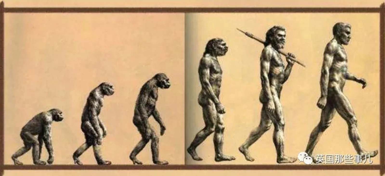 他们复原了380万年前人类祖先的脸!我们离找到人类直系祖宗又近了一步?