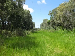 - Bluff Road, Bilyana