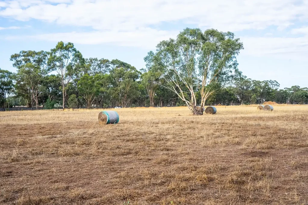Bagshot  Prime 10-Acre Lifestyle Opportunity in Peaceful Bagshot