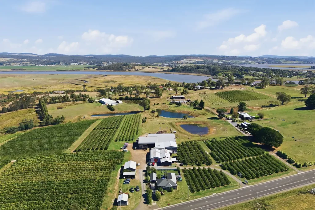 Dilston  A Proven Orchard Legacy in the Tamar Valley - Walk in/Walk Out