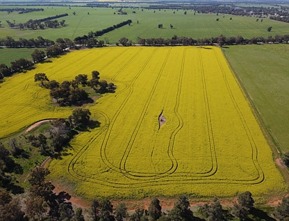 Lot 155 DP750852 Burley Griffin Way, Ariah Park, Riverina, 0 rūma, 0 rūma horoi, Lifestyle Property
