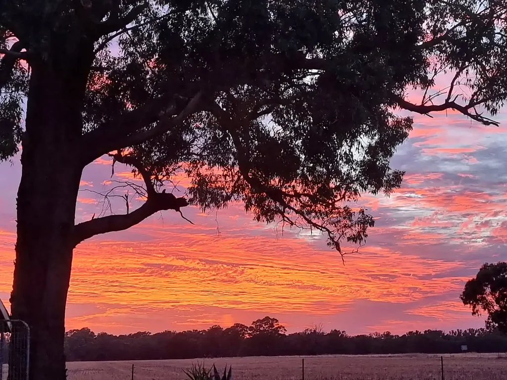 1060 Elmore-Raywood Road, Elmore, VIC 3558