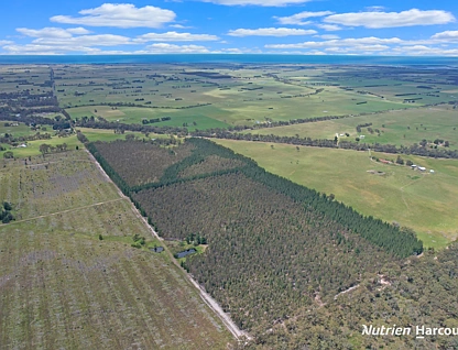 CA 30 South Gippsland Highway, Woodside, Traralagon , 0房, 0浴, Lifestyle Property