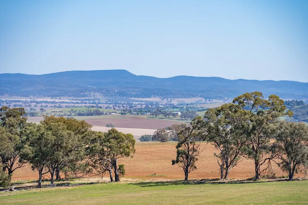 Canowindra Exceptional opportunity to secure a well-established mixed farming enterprise!