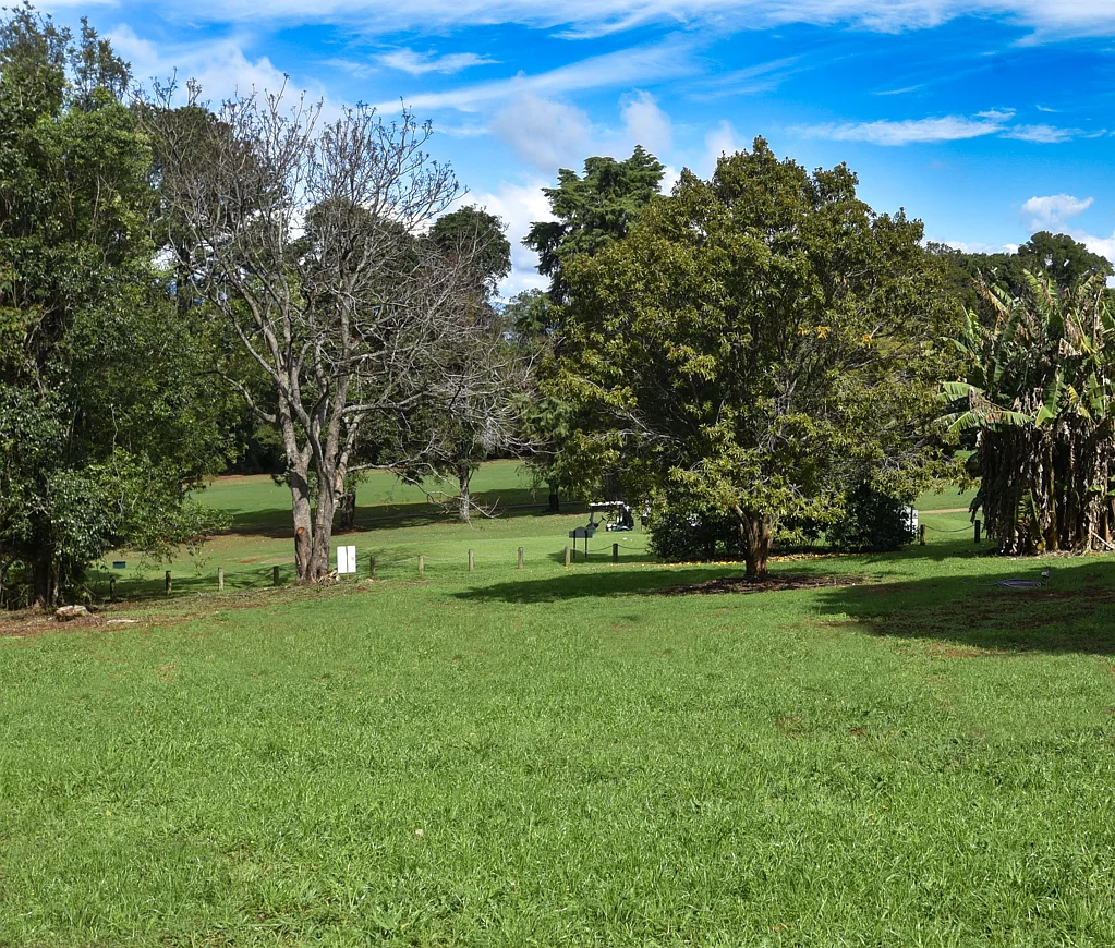 Tamborine Mountain Arguably the Best Vacant Land Available on Tamborine Mountain