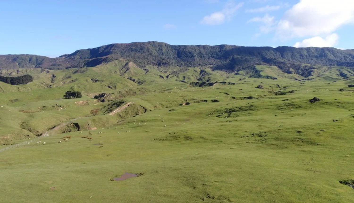 912 Range Road, Pongaroa, Tararua, 0 રૂમ, 1 બાથરૂમ