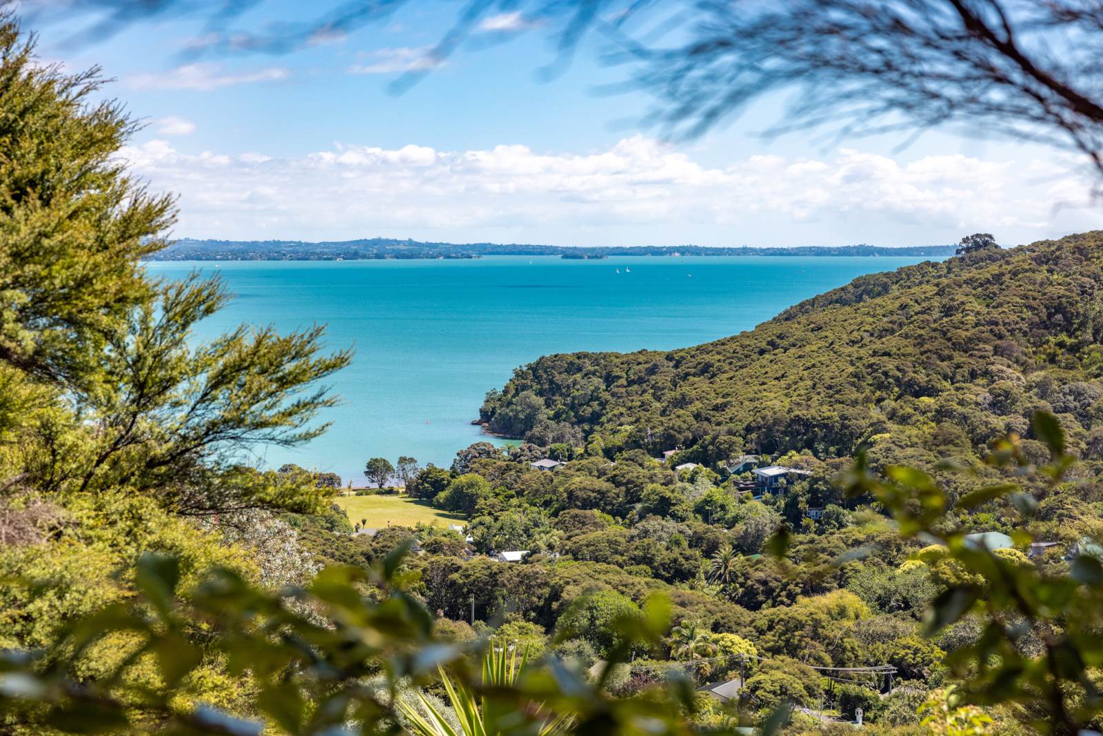 Hauraki Gulf Islands