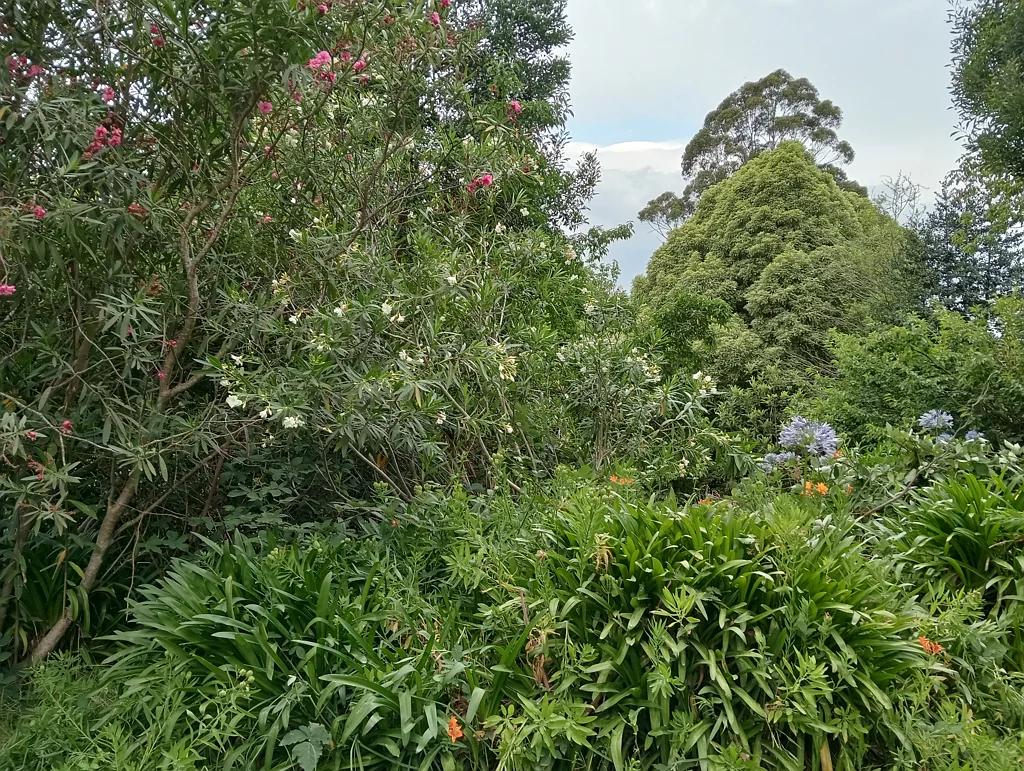 The Patch Priced to sell! Idyllic vacant Land in sought after area, land bank or possible Tiny House site
