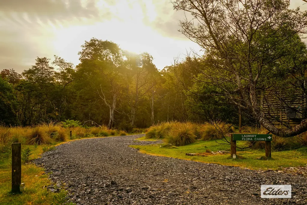 Loongana WHERE THE RIVERS, MOUNTAINS & RAINFORESTS MEET
Lifestyle & Business Opportunity