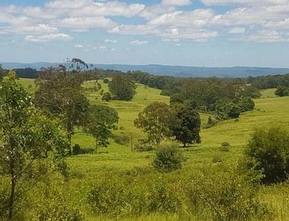 Lot 85 Kynoch Road, Ravensbourne, Darling Downs, 0 ห้องนอน, 0 ห้องน้ำ, Section