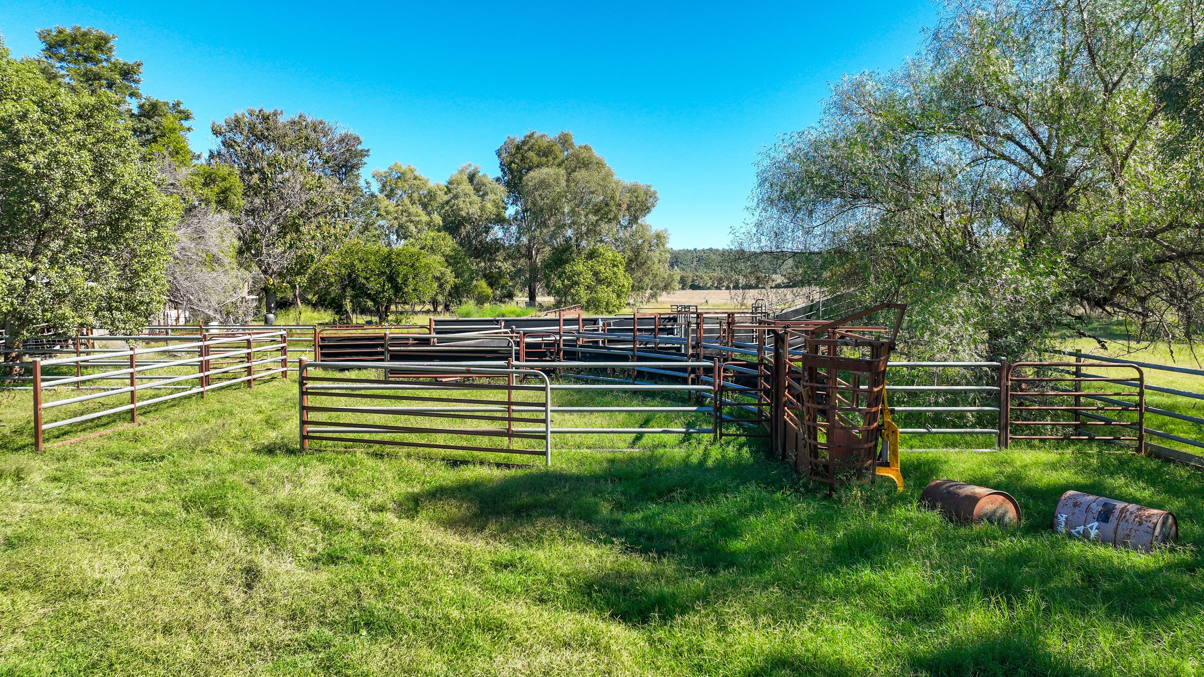 WANDO 340 BLACK MOUNTAIN CREEK RD, MAULES CREEK NSW 2382, 0房, 0浴, Lifestyle Property