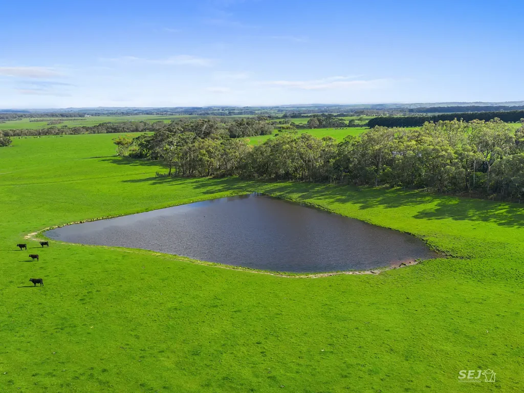 Buffalo 'Buffalo Pastoral'
