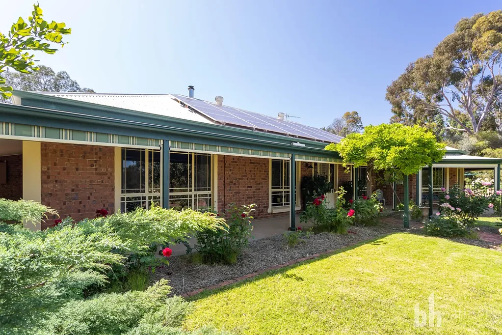 Paringa 4房  PET FRIENDLY CATCH A FISH FOR BREAKFAST - COUNTRY HOMESTEAD WITH MURRAY RIVER ACCESS