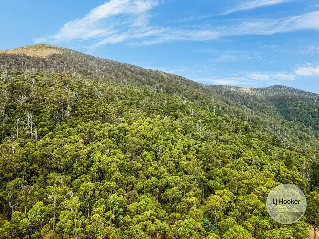 (PID: 5803 Mount Charles Road, Lachlan, TAS 7140