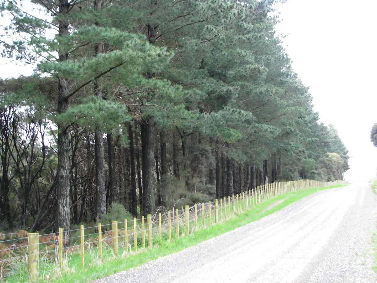 Manawa Road, Tinui, Masterton, 0 Kuwarto, 1 Banyo