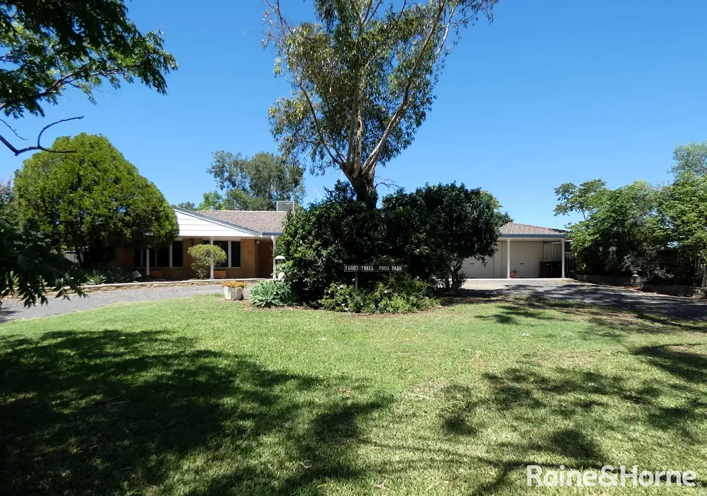 Moree 4 Bedroom Good gracious, its S-P-A-C-I-O-U-S