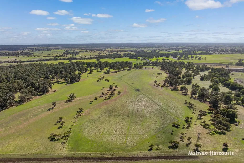 Elgin 'Wattle Swamp'