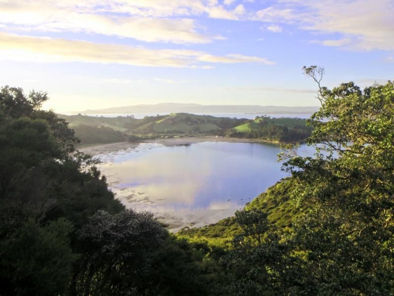 Hauraki Gulf Islands