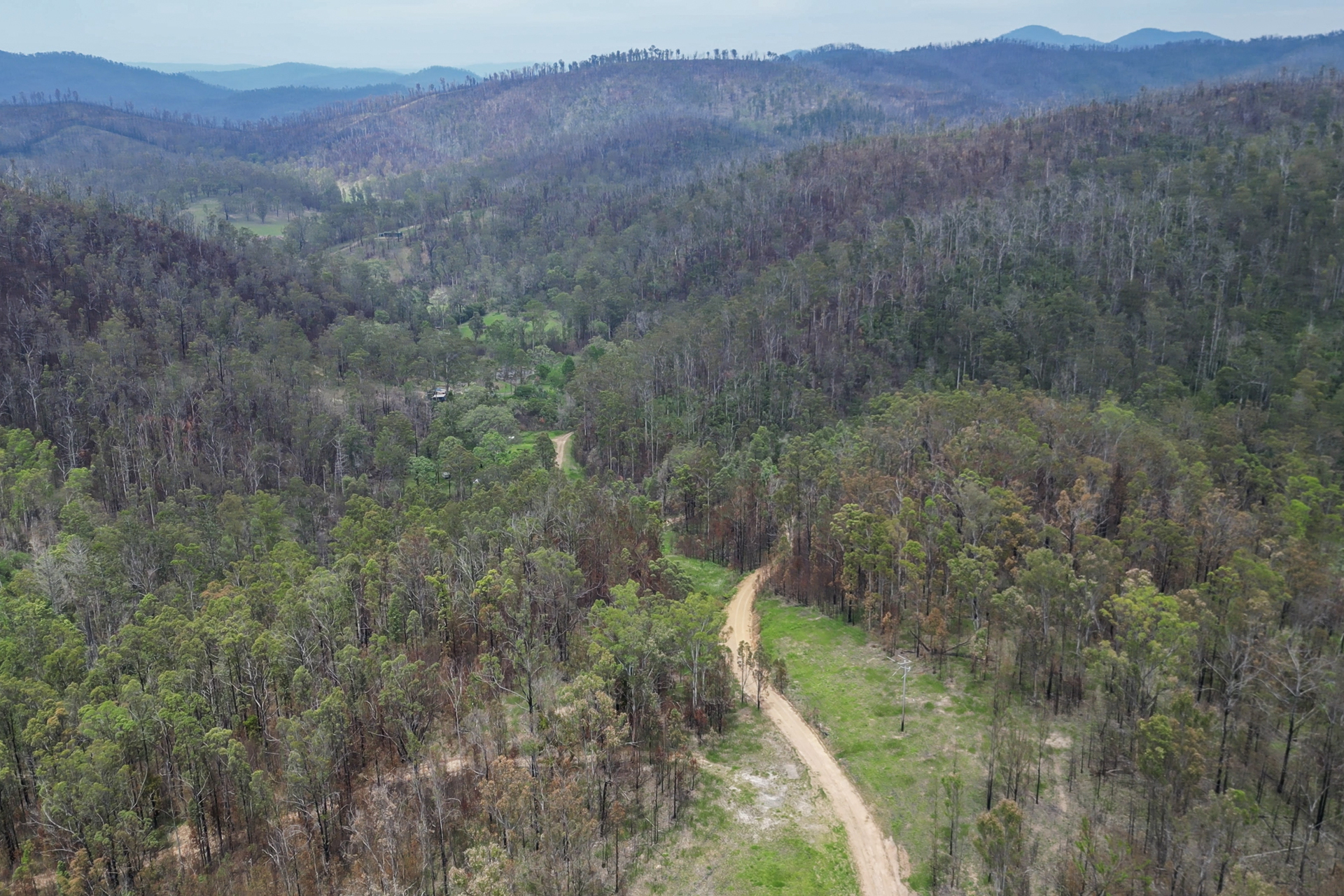 531 GLENS CREEK RD, NYMBOIDA NSW 2460, 0 રૂમ, 0 બાથરૂમ, Lifestyle Property